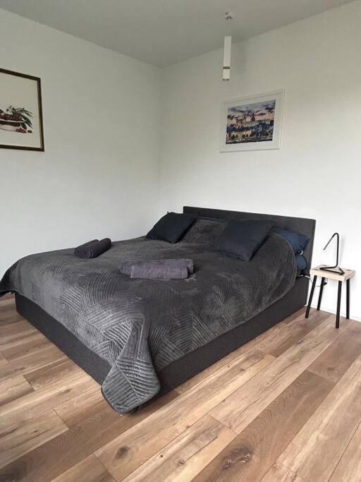 Apartament Stary Szczecin Dış mekan fotoğraf
