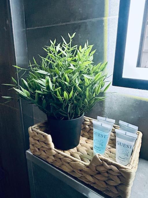 Apartament Stary Szczecin Dış mekan fotoğraf