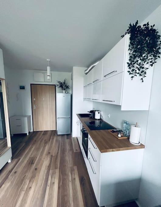 Apartament Stary Szczecin Dış mekan fotoğraf