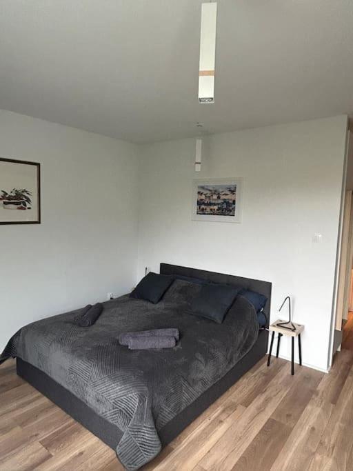 Apartament Stary Szczecin Dış mekan fotoğraf