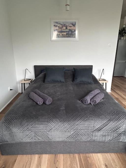 Apartament Stary Szczecin Dış mekan fotoğraf