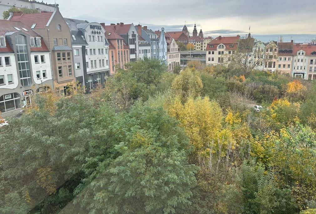 Apartament Stary Szczecin Dış mekan fotoğraf